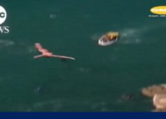 Cliff Diving World Series hands out top titles