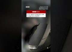 CCTV shows frying pan used to stop train attacker. #BBCNews